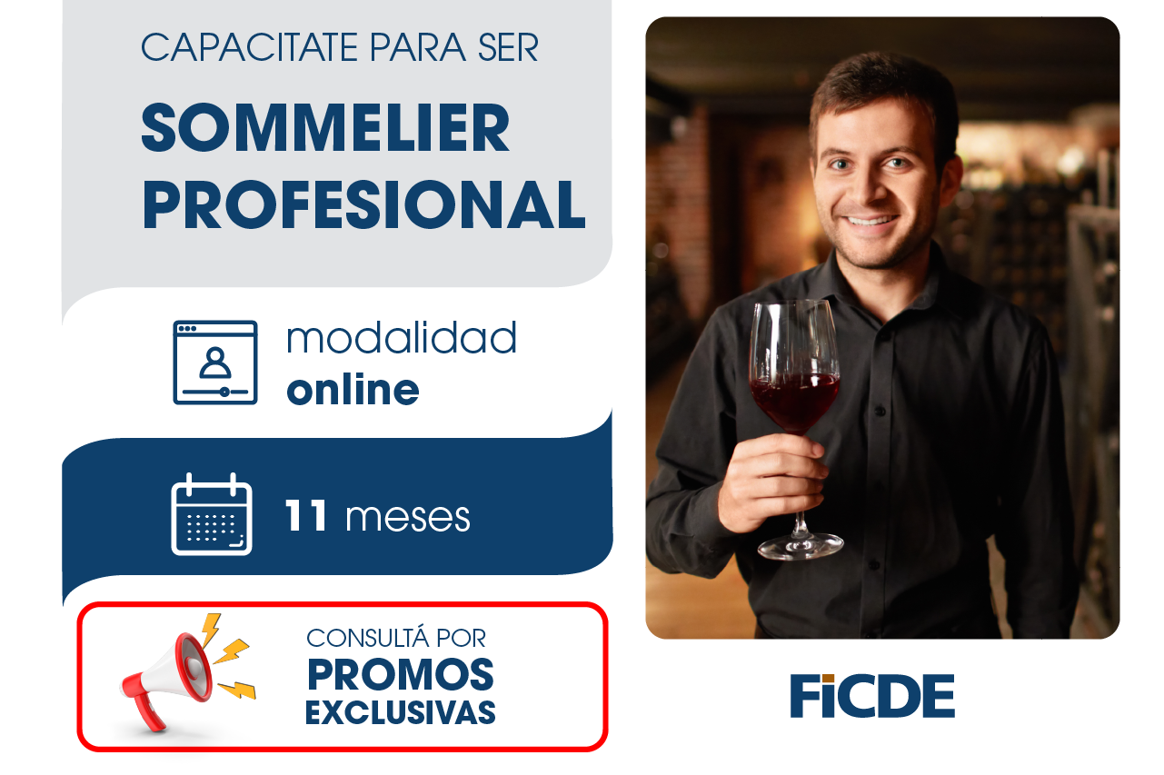 Capacitate para ser Sommelier – Online