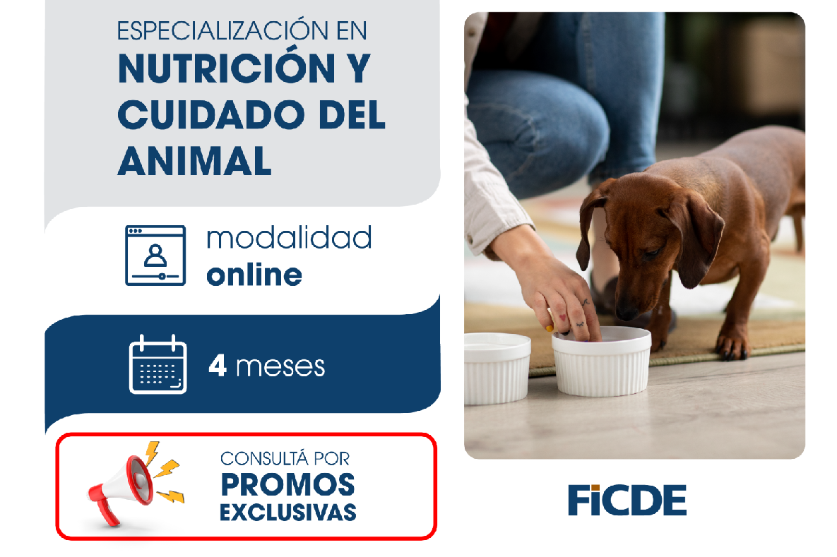 Especialización en Nutrición y Cuidados del animal – Online